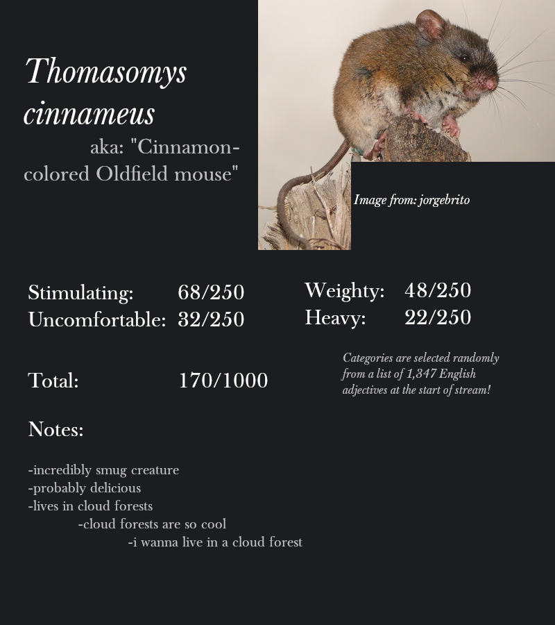 Thomasomys cinnameus